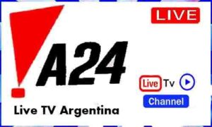 Read more about the article Watch A 24 Spanish Live TV Channel From Argentina