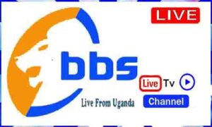 Read more about the article Watch BBS Terefayina Live TV Channel From Uganda