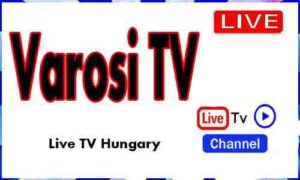 Read more about the article Watch Mor Varosi TV Live TV Channel From Hungary