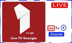 Read more about the article Watch 1TV Live TV Channel From Georgia