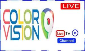 Read more about the article Watch Color Vision Live TV Channel From Dom. Rep