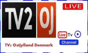 Read more about the article Watch TV2 Ostjylland Live TV Channel From Denmark