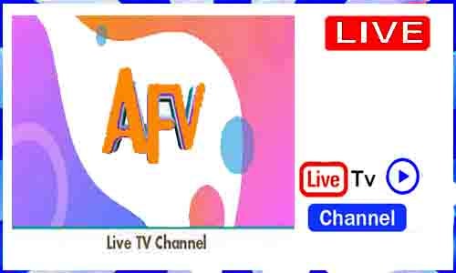 AFV Live TV Channel From USA