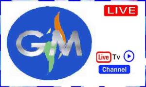 Read more about the article Watch Global Mall TV Live TV Channel From USA