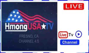 Read more about the article Watch Hmong USA TV Live TV Channel From USA