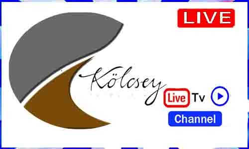 Kolcsey TV Live TV Channel Hungary