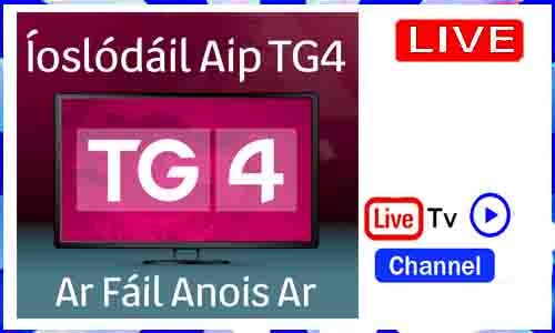 Read more about the article TG4 Live TV Channel Ireland