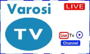 Read more about the article Varosi Tv Live Tv Channel From Hungary