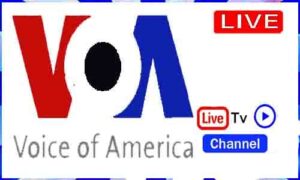 Read more about the article Voice Of America Live TV Channel From USA