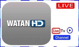 Read more about the article Watch Watan TV Live TV Channel From USA