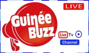 Read more about the article Watch Guinee Buzz TV Live TV Channel From Guinea