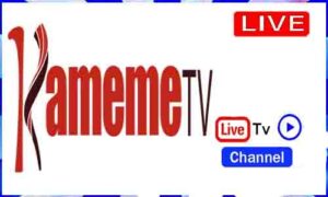 Read more about the article Watch Kameme TV Live TV Channel From Kenya