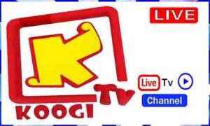 Read more about the article Watch Koogi TV Live TV Channel In Egypt