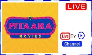 Read more about the article Pitaara TV Live TV Channel India
