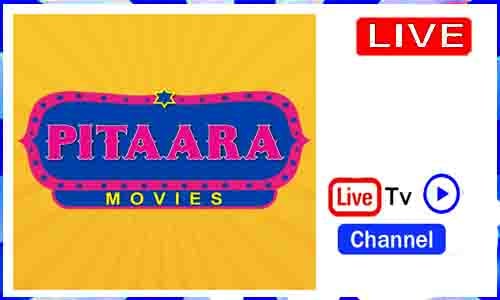 Pitaara TV Live TV Channe INl India