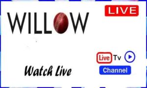Read more about the article Watch Willow TV Live TV Channel in USA