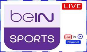 Read more about the article Watch Bein Sports Live TV Channel From Algeria