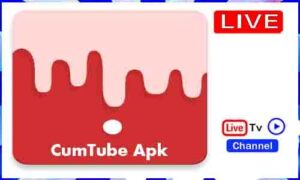 Read more about the article CumTube Apk TV Apk App Download