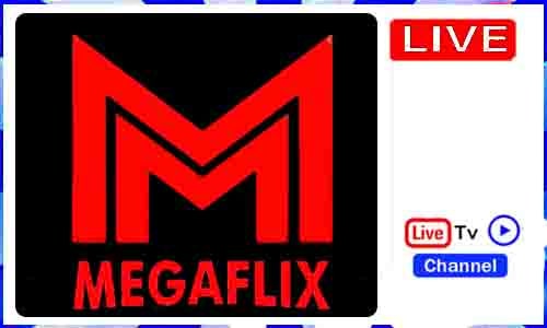 MegaFlix Apk Tv App Download