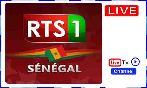 Read more about the article Watch RTS TV Live TV Channel From Senegal