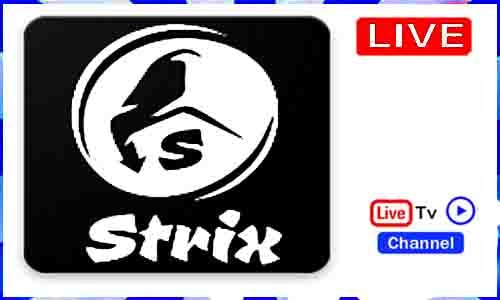 Strix Apk TV App Free Download