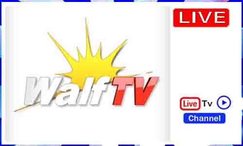 Read more about the article Watch Walf TV Live TV Channel From Senegal