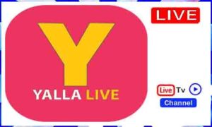 Read more about the article Yalla Live TV Apk Tv Apk App Download