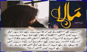 Read more about the article Mala by Nimra Ahmed Episode 17 Read Online Free Download