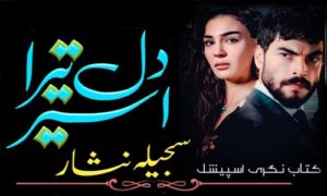 Read more about the article Dil Tera Aseer By Sajeela Nisar Complete Novel Download