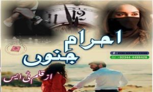 Read more about the article Ehram e Junoon by TS Writes Complete Novel Free Download