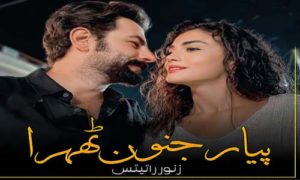 Read more about the article Pyaar Junoon Thehra By Zanoor Writes Complete Novel Downlaod