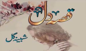 Read more about the article Qissa e Dil by Shabina Gul Complete Novel Pdf Download