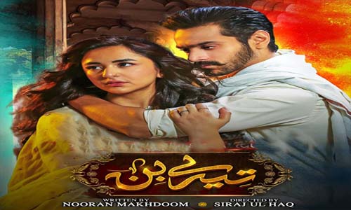 Read more about the article Tere Bin Urdu Drama New All Episode Download