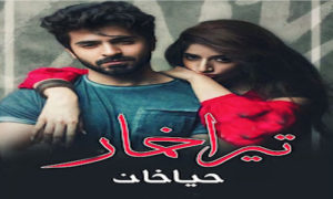 Read more about the article Tera Khumaar By Haya Khan Complete Novel Free Download