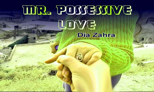 Read more about the article Mr Possessives Love By Dia Zahra Complete Novel Free Download
