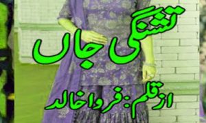 Read more about the article Tashnagi E Jaan By Farwa Khalid Complete Novel Free Download