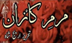 Read more about the article Marm E Kaizan By Areej Shah Complete Novel PDF Download