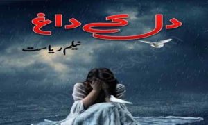 Read more about the article Dil Ke Dagh by Neelam Riasat Complete Novel Download