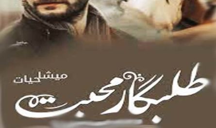 Talabgar E Mohabbat By Misha Hayat Complete Novel