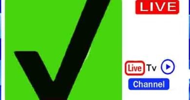 Motiva Channel Live TV USA