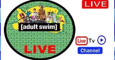 Adult Swim Live From USA