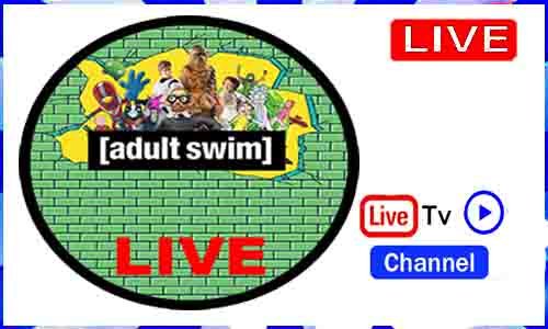 Adult Swim Live From USA