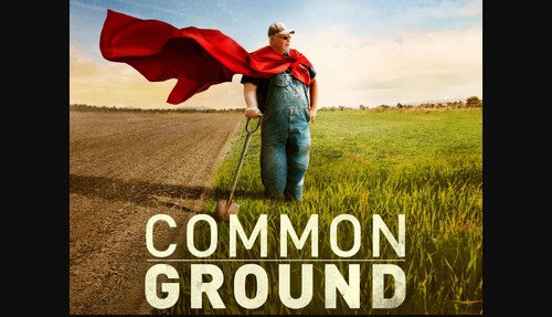 You are currently viewing Watch Online Common Ground English Movie 2025 Download